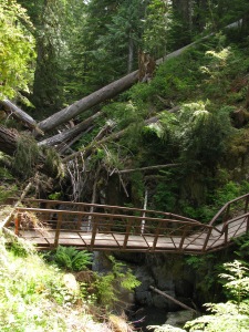 the bridge at Madeline Creek